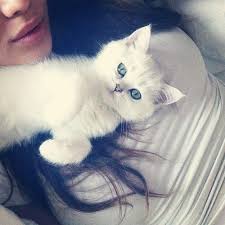 photo chat